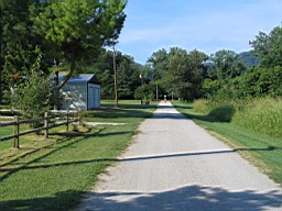 White River in Arkansas 101.jpg